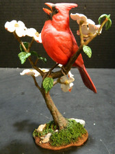 Springtime magic cardinal for sale  Cicero
