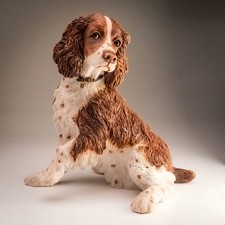 Country artists springer for sale  UK