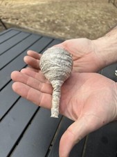Wasp nest for sale  Plympton