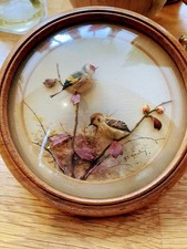 Hervey diorama inch for sale  GRANTHAM