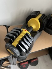 Everlast adjustable dumbbells for sale  CROYDON