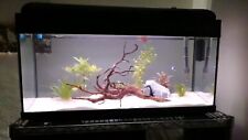 Acquario poseidon 80lt usato  Italia