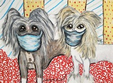 Chinese crested quarantine for sale  Colbert