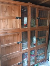 5ft chartwell rabbit for sale  EPSOM
