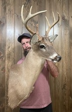 Beautiful vintage 8pt for sale  Port Matilda
