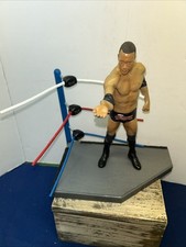 Rock 2007 wwe for sale  York