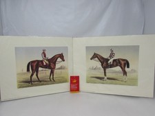 Horse jockey racing for sale  STEVENAGE