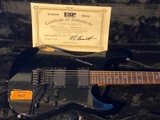 Esp kiso custom gebraucht kaufen  Winnenden