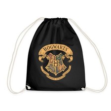 Harry potter hogwarts gebraucht kaufen  Leipzig