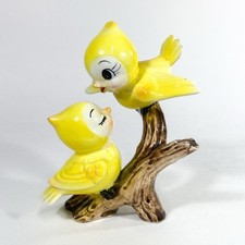 pair canary birds for sale pair canary birds for sale Manchester