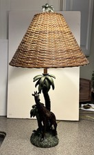 Beautiful giraffe palm for sale  Dayton