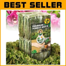 planted kokedama for sale  Mountain View