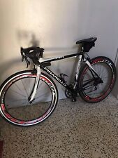 Bici corsa carbonio usato  Modena