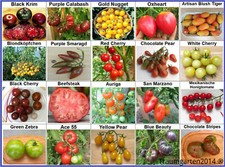 Tomate set tomatensamen gebraucht kaufen  Bischofsheim