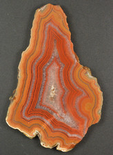 Dryhead agate polished for sale  Salt Lake City