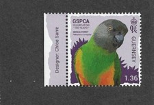 Senegal parrot birds for sale  MONTGOMERY