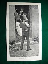 1884 primo frutto usato  Villarosa