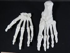 Anatomical human hand for sale  West Bend