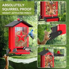 Squirrel proof bird for sale  Harrison