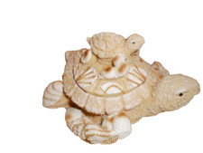 Sea turtle baby for sale  Chicago