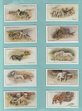 Dogs c.c. repros for sale  BIRCHINGTON
