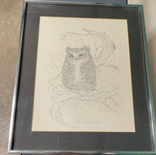 Bill neat framed for sale  Allegany