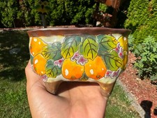 Keramik blumentopf kaktus gebraucht kaufen  Gottmadingen