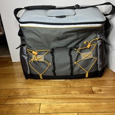 Thermos cooler insulated for sale  Raynham