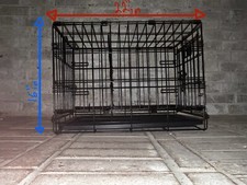 Look puppy dog for sale  Conroe