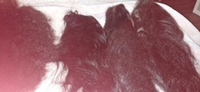 4 X Perucas de Renda de Cabelo Humano USADAS... Leia a Descrição, usado comprar usado  Enviando para Brazil