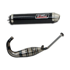 Scarico completo carbonio usato  Italia