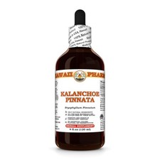 Kalanchoe pinnata tincture for sale  Honolulu