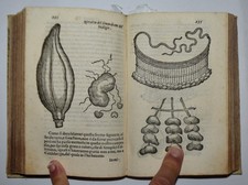 Semplici aromati fig. usato  Arezzo