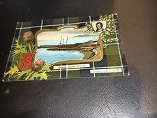 Douglas tartan border for sale  LEYBURN