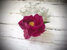 Antique bottles mini for sale  UK
