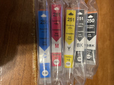 Pack pgi 250xl for sale  Cincinnati