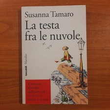 Testa fra nuvole usato  Diano San Pietro