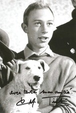 Autographe jean pierre.talbot usato  Spedire a Italy