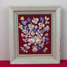 Vintage sea shells for sale  Newbury