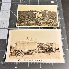 1920s mississippi cotton for sale  Orlando