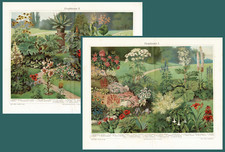 plantas ornamentais comprar usado plantas ornamentais comprar usado Enviando para Brazil