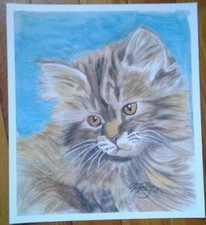 Orange tabby cat for sale  Hodgenville