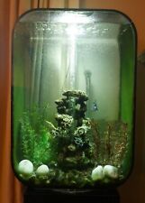 Biorb aquarium complete for sale  WOTTON-UNDER-EDGE