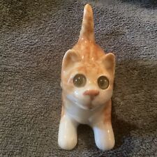 ginger tabby for sale ginger tabby for sale TENBURY WELLS