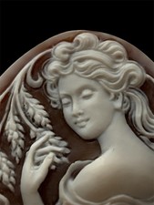 Amazing shell cameo usato Amazing shell cameo usato  Torre del Greco