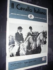 Cavallo italiano federazione usato  Catania