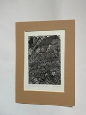 sue scullard for sale  GOOLE