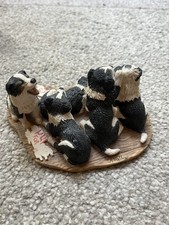Collie pups sale for sale  NEWBURY