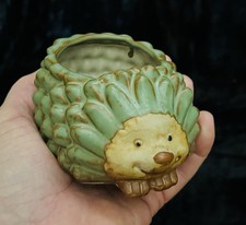 Hedgehog ceramic succulent for sale  Mesa