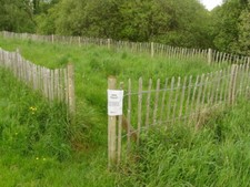Photo 6x4 brackagh for sale  FAVERSHAM